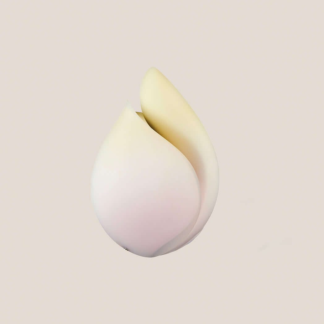 G-Spot Suction Vibrator